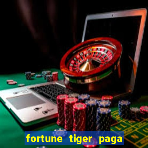 fortune tiger paga de madrugada